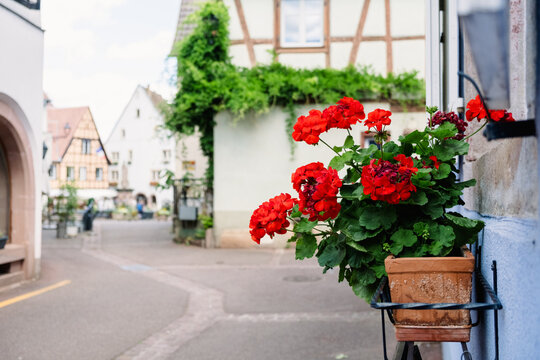 Flowers in a pot on a street in a historic town
