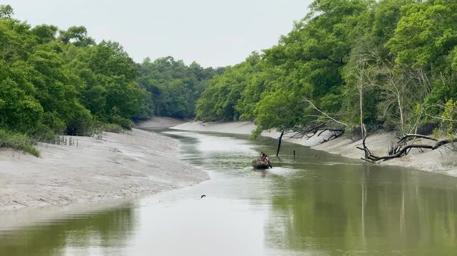 Wooden Boat on a Tidal Creek in the Sundarbans Mangrove Forest, Bangladesh