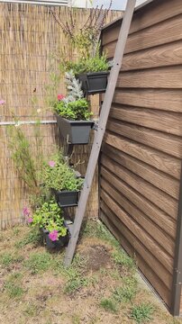 Decorative step ladder holds flower pots in a garden corner