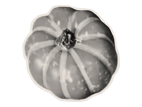 Top view of a ripe pumpkin. An irregularly shaped paper cutout of a squash.
