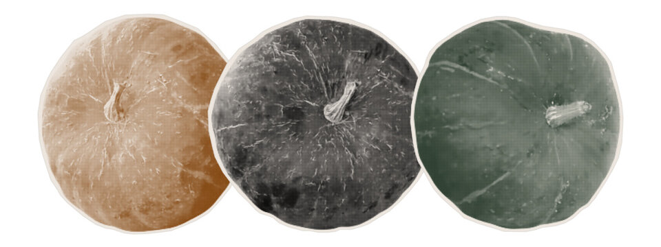 A set of raw autumn pumpkins for designing festive stickers and Halloween graphics. Round vegetables cut from old magazines and distressed paper. Halftone vector.