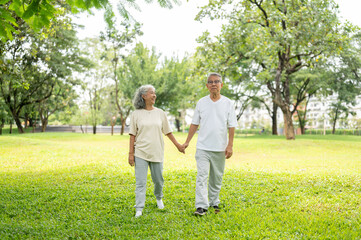 Fototapeta premium Senior Couple Holding Hands Walking Grass Outdoor Park.