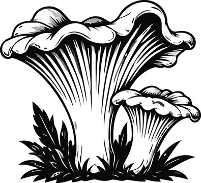 Detailed oyster mushroom cluster illustrated in bold black and white botanical line art, with layered caps, textured gills and natural foliage elements, isolated on a clean white background.