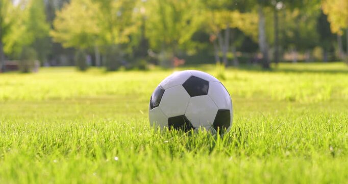 Soccer ball rests on green grass in sunny park. Camera reveals outdoor field with trees in summer daylight. Footage supports sports, recreation, training, teamwork, and healthy lifestyle.