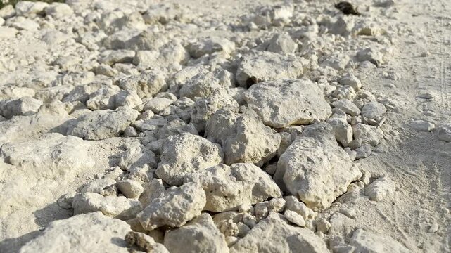 Close up rough limestone rocks on dry ground