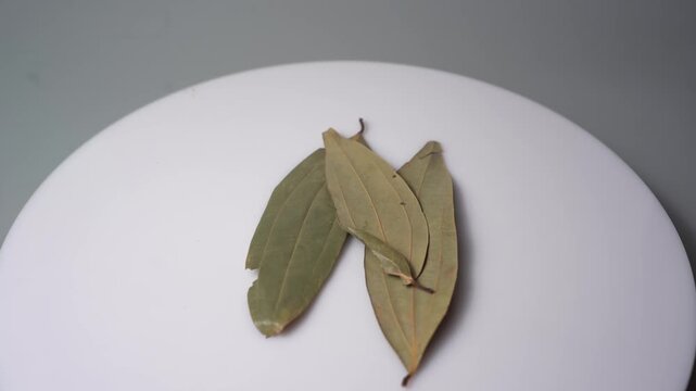 Dry bay leaves Cinnamomum tamala spice on white turntable showcase culinary herb ingredient preparation for cooking food recipe video