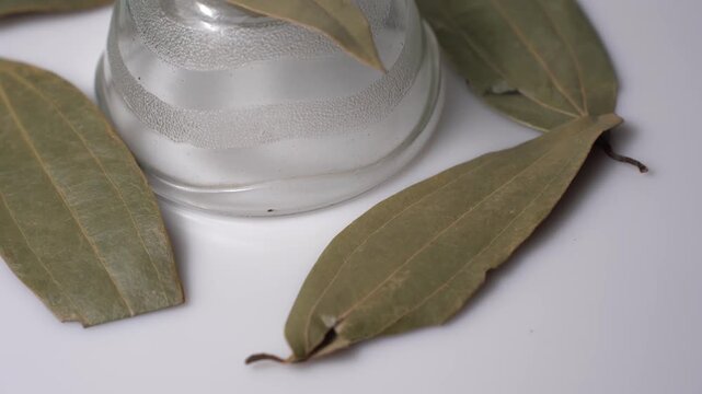 Cinnamomum tamala bay leaf spice herbal ingredient dry plant macro close up view