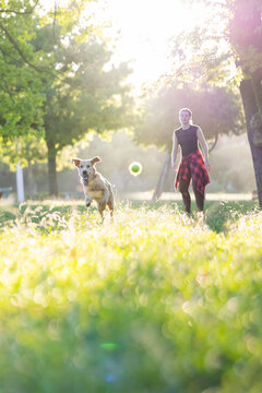 Dog runs in park while person walks towards dog during sunny afternoon in a green area