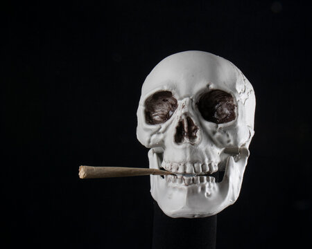 Skull holding a joint symbolizing addiction and mortality