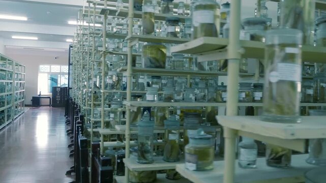 Thousands of clear glass jars with signed white labels containing embalmed fish, marine animals and others artifacts standing in the shelves. Shot in motion