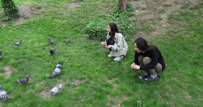 Smiling young women feed grey pigeons as squat on lawn grass in park. Brunette female friends give grains to wild birds in spring city garden