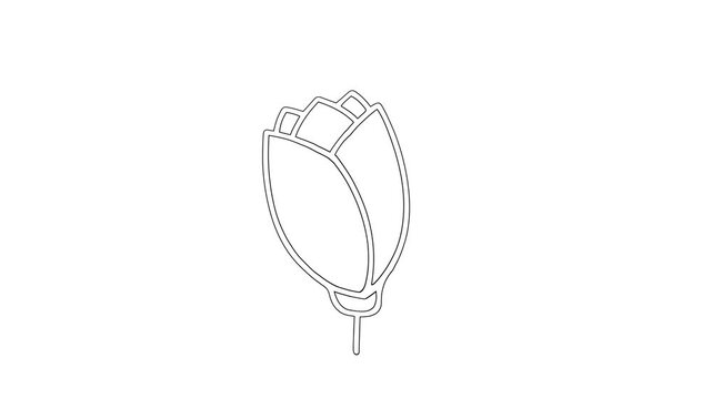 minimalist rose flower bud line art vector icon, botanical floral organic symbol animation video
