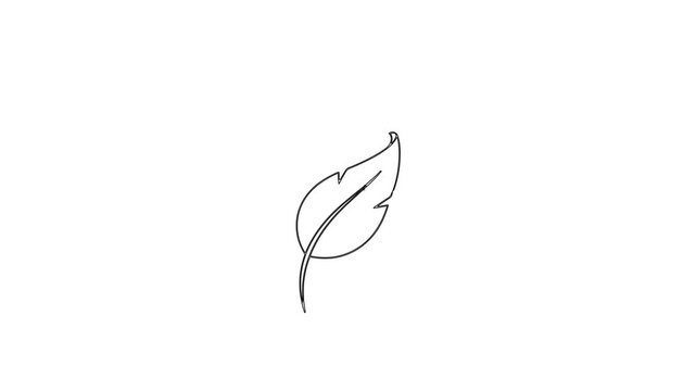 minimalist feather line art vector icon, simple quill pen organic symbol animation video