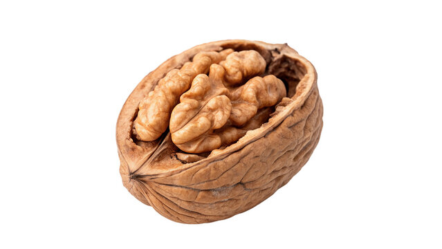 Single whole organic raw brown walnut in shell isolated on transparent background