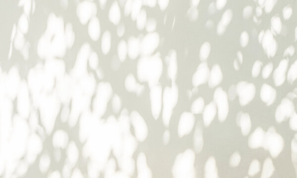 Leaf shadow and light grey background. Nature tropical leaves plant tree branch shade sunshine on wall. Sunlight on white wall texture for background wallpaper, shadows overlay effect foliage mockup