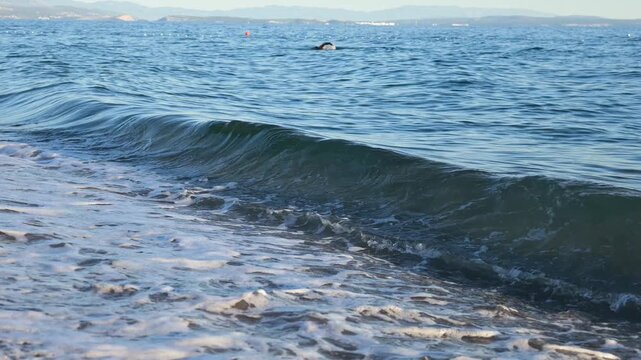 Slow-motion close-up of a small transparent wave rolling onto a pebble beach