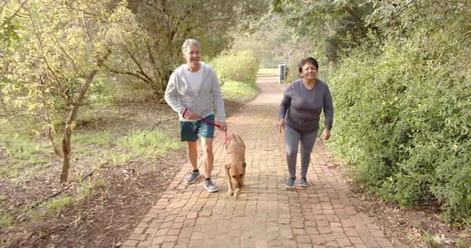 Lifestyle videos outdoor of people doing activities, walking dog on brick path, couple enjoying outd