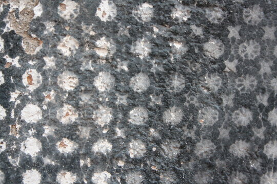 black marble texture