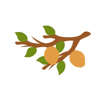 Beehive, stem, twig, bee, honey, wasp, wood, leaf, nature, illustration, hanging, vector, tree, livestock, cartoon, design, flat, color, wild, honeycomb, wasp, fly, sweet, element, brown, green, yello