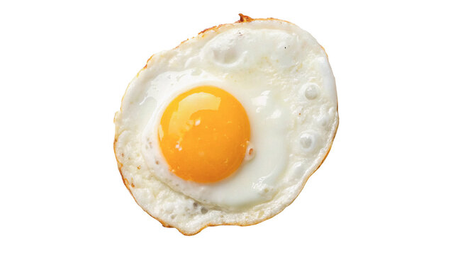 Single fresh fried egg breakfast protein food isolated on transparent background