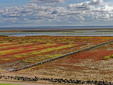 Wattenmeer bei Ebbe auf Pellworm
