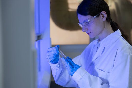 Biotechnology research concept. female scientist examines test tube while working in laboratory with protective gloves. scientist, research, laboratory, testing, science.