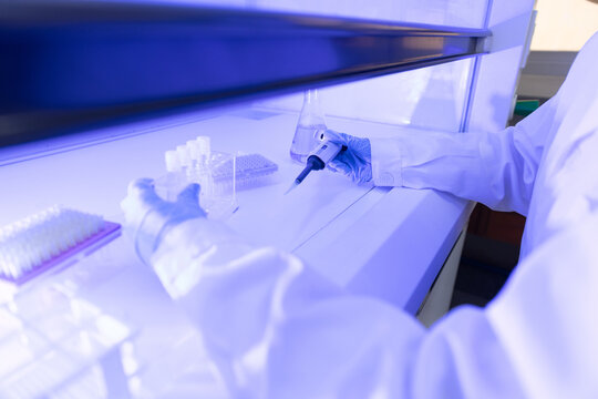 Women scientist handles laboratory samples inside safety cabinet while wearing protective gear. scientist, laboratory, research, biosafety, science. Biosafety research concept.