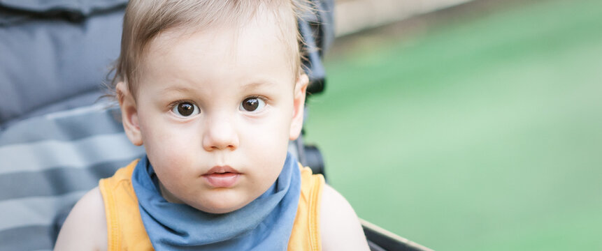 A young child sits attentively in a stroller, gazing with wide eyes as sunlight filters through nearby trees. The vibrant green grass adds to the cheerful atmosphere of the moment.