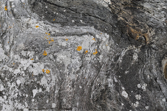 Natural stone texture of rough granite rocks with yellow lichen. Detail of textured grey bedrock with colorful spots of lichen on a norwegian shoreline.