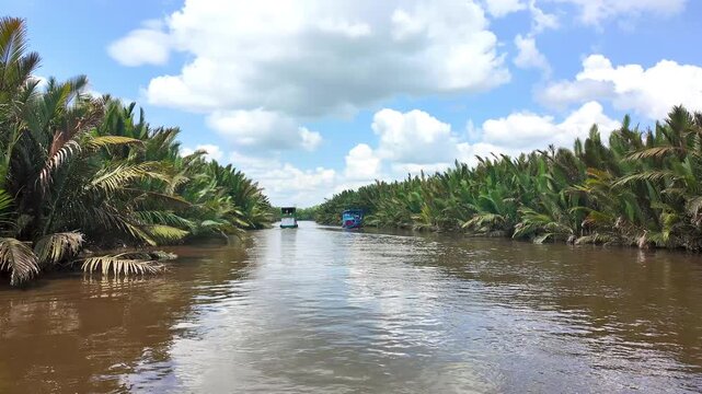 Klotok boat passing along a tropical river surrounded by palm vegetation under a blue sky with clouds, Tanjung Puting National Park, Borneo, Indonesia