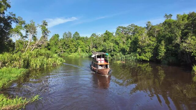 Klotok boat traveling along a tropical river surrounded by secondary forest, Tanjung Puting National Park, Borneo, Indonesia
