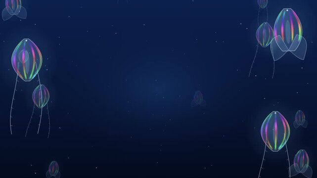 Translucent comb jellies drifting with rainbow light seamless loop
