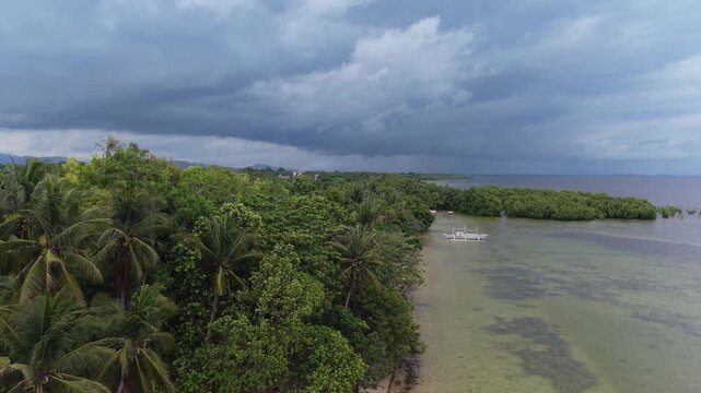 Coastal Coconut Palms Under Dark Clouds in Puerto Princesa