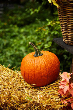 Ripe Orange Pumpkin on a Hay Bale in Autumn Garden