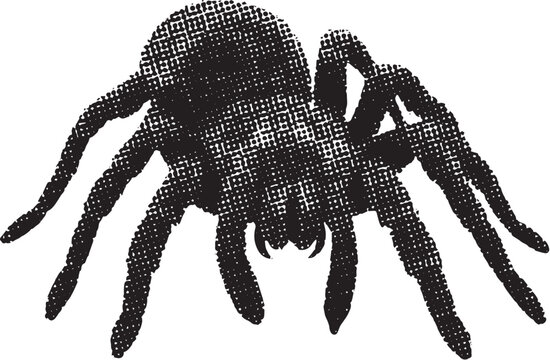 Halftone black spider isolated on white background, comic book style creepy arachnid for Halloween and design elements