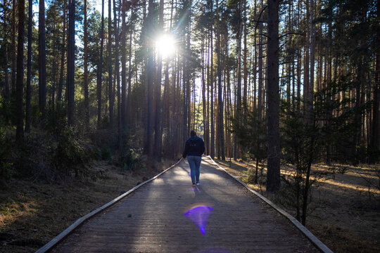 Person walking on a pathway through a forest with sun rays in enchanted city, cuenca, spain