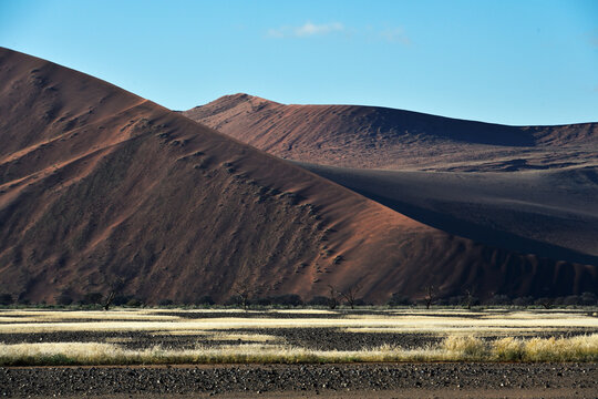 Desert landscape - sand dunes, savanna and grass