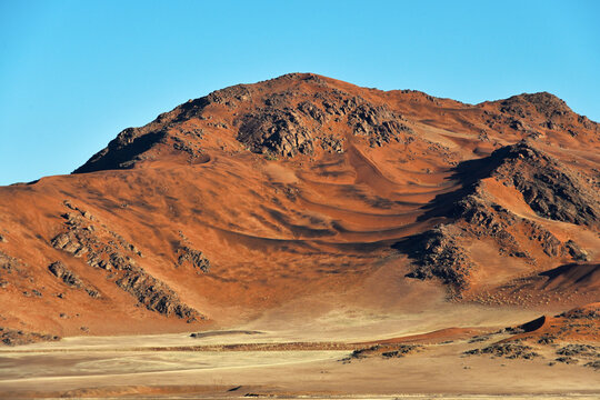 Desert landscape - sand dunes, savanna and grass