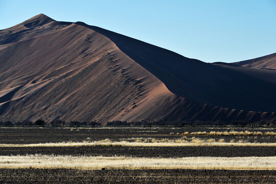 Desert landscape - sand dunes, savanna and grass