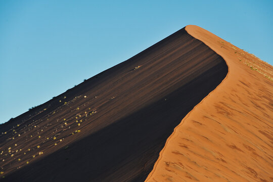 Dune 45 in the Namib Naukluft Desert