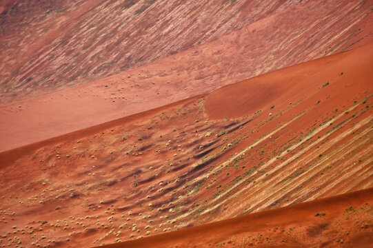 Desert landscape - sand dunes, savanna and grass