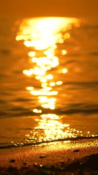 Golden sunlight gleams on gentle sea waves flowing over wet sand at a tropical beach. Static vertical close-up shot.