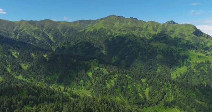 Badimalika, Bajura, Nepal, drone sweeping across vast pine-covered slopes and vibrant green alpine ridges as cloud shadows drift across the mountain range under bright blue skies