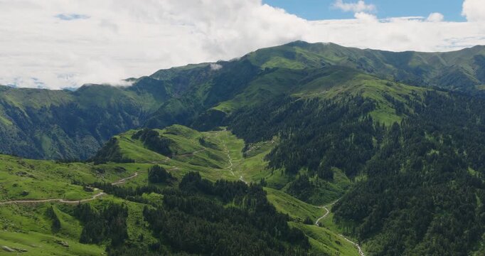 Badimalika Bajura, Nepal, aerial drone shot over vast green alpine pastures bordered by dense dark pine forests with steep mountain slopes stretching under misty cloud cover.