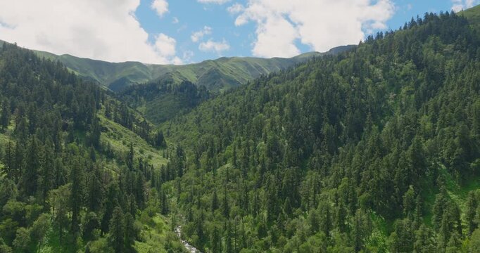 Badimalika, Bajura, Nepal, drone hyperlapse sweeping across vast alpine grasslands and thick pine forest slopes as cloud shadows rapidly shift over lush mountain ranges beneath bright blue sky