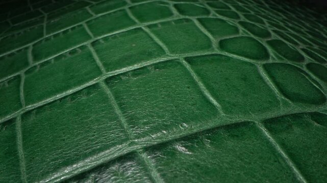 Crocodile Leather Background. Green Leather material texture 