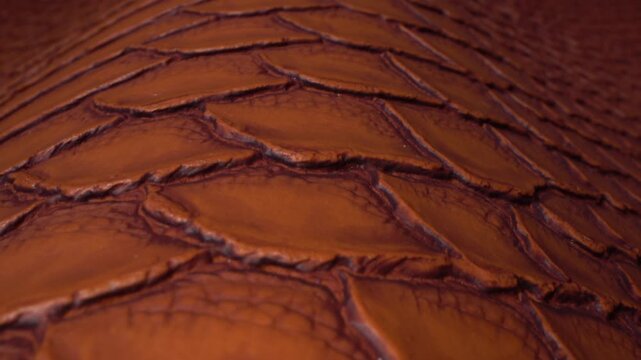 Textured Brown Leather Material Background