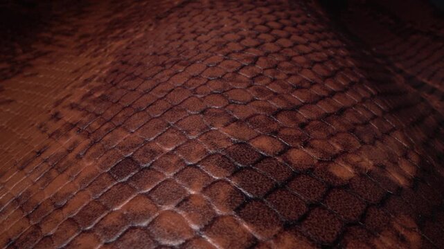 Brown Natural Leather Texture Close Up