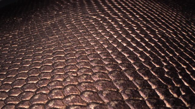 Brown Leather Surface with Organic Pattern