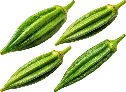 Four fresh raw green okra pods isolated on white background organic ladies finger pods bhindi vegetable ingredients

